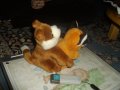 IMGP0757.JPG
